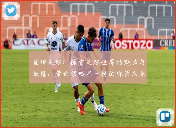 佳琦足球：探索足球世界的魅力与激情，带你领略不一样的绿茵风采