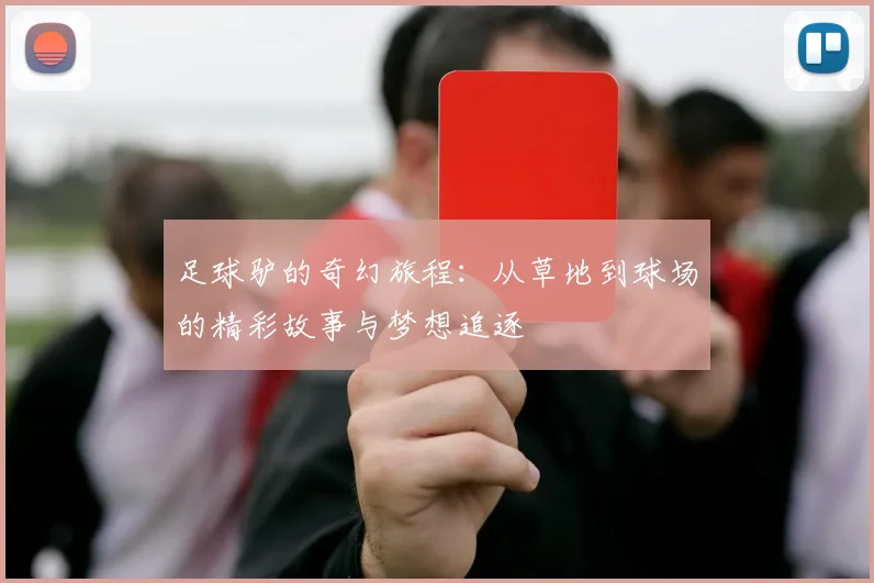 足球驴的奇幻旅程：从草地到球场的精彩故事与梦想追逐