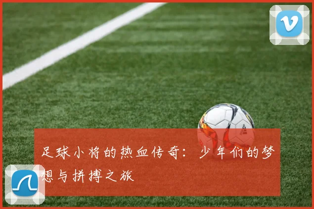 足球小将的热血传奇：少年们的梦想与拼搏之旅