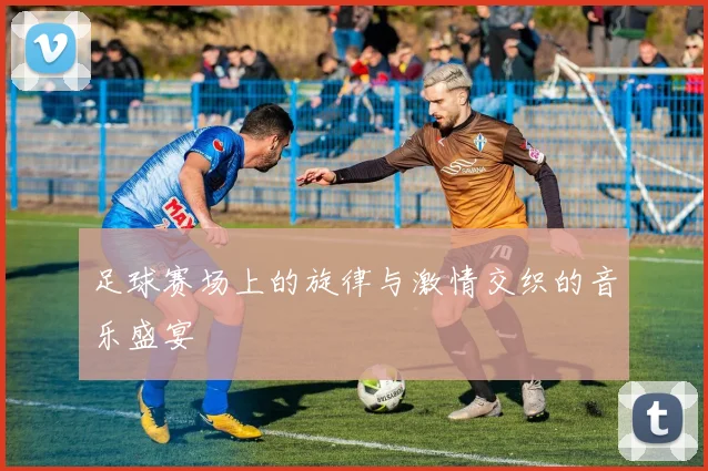 足球赛场上的旋律与激情交织的音乐盛宴